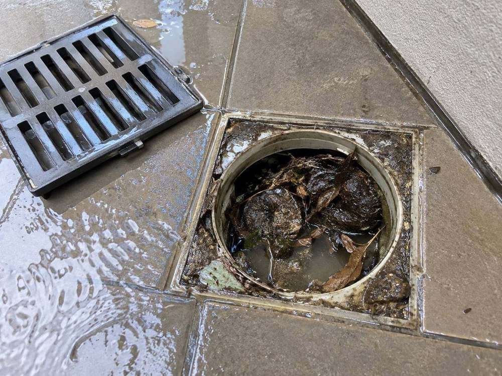 Blocked Drains